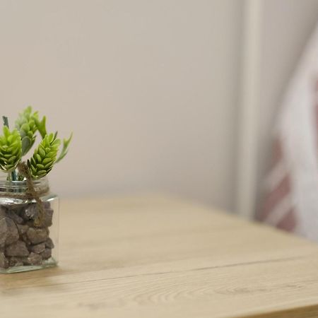 סולמונה Casa Vacanze Il Confetto מראה חיצוני תמונה
